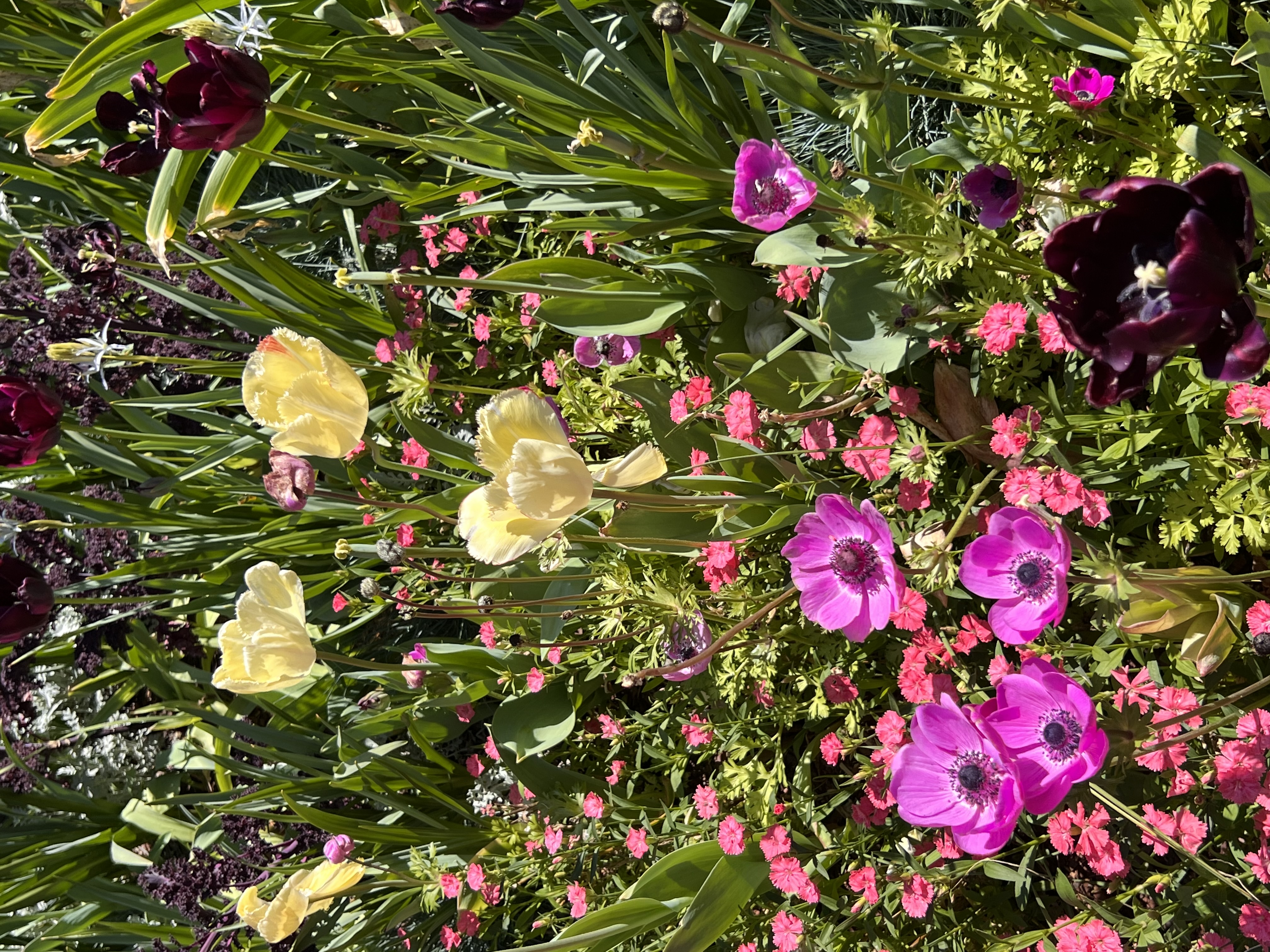 ./2023/05 - Toni Adventures/IMG_3208.JPG